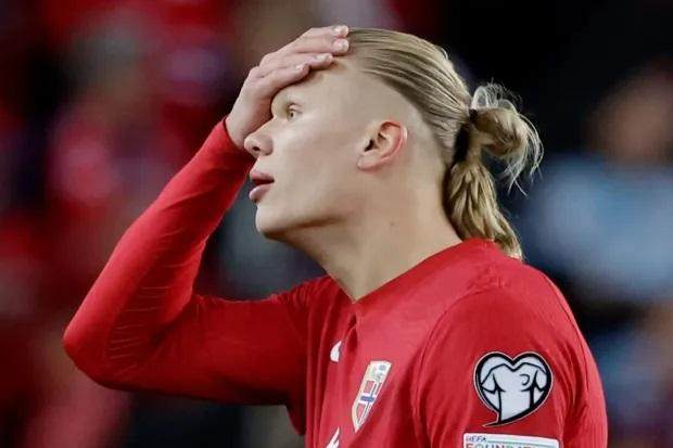 1700642199754011783.jpg 22.jpg